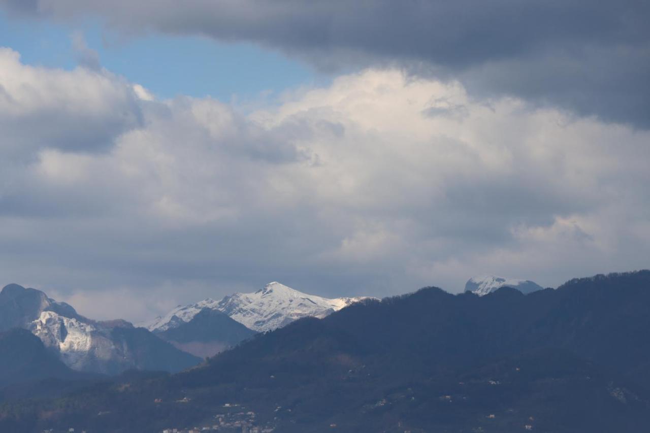 Myricae Villa Viareggio Dış mekan fotoğraf